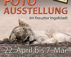 Kreuztor 2017